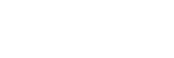 Brno University of Technology